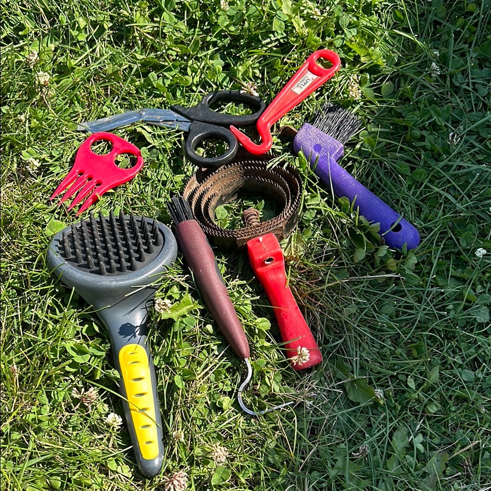 Colorful Pet Grooming Tools Set